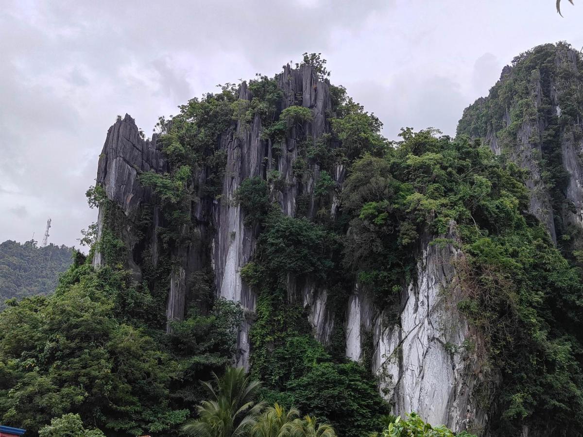 Alocasia El Nido Dış mekan fotoğraf