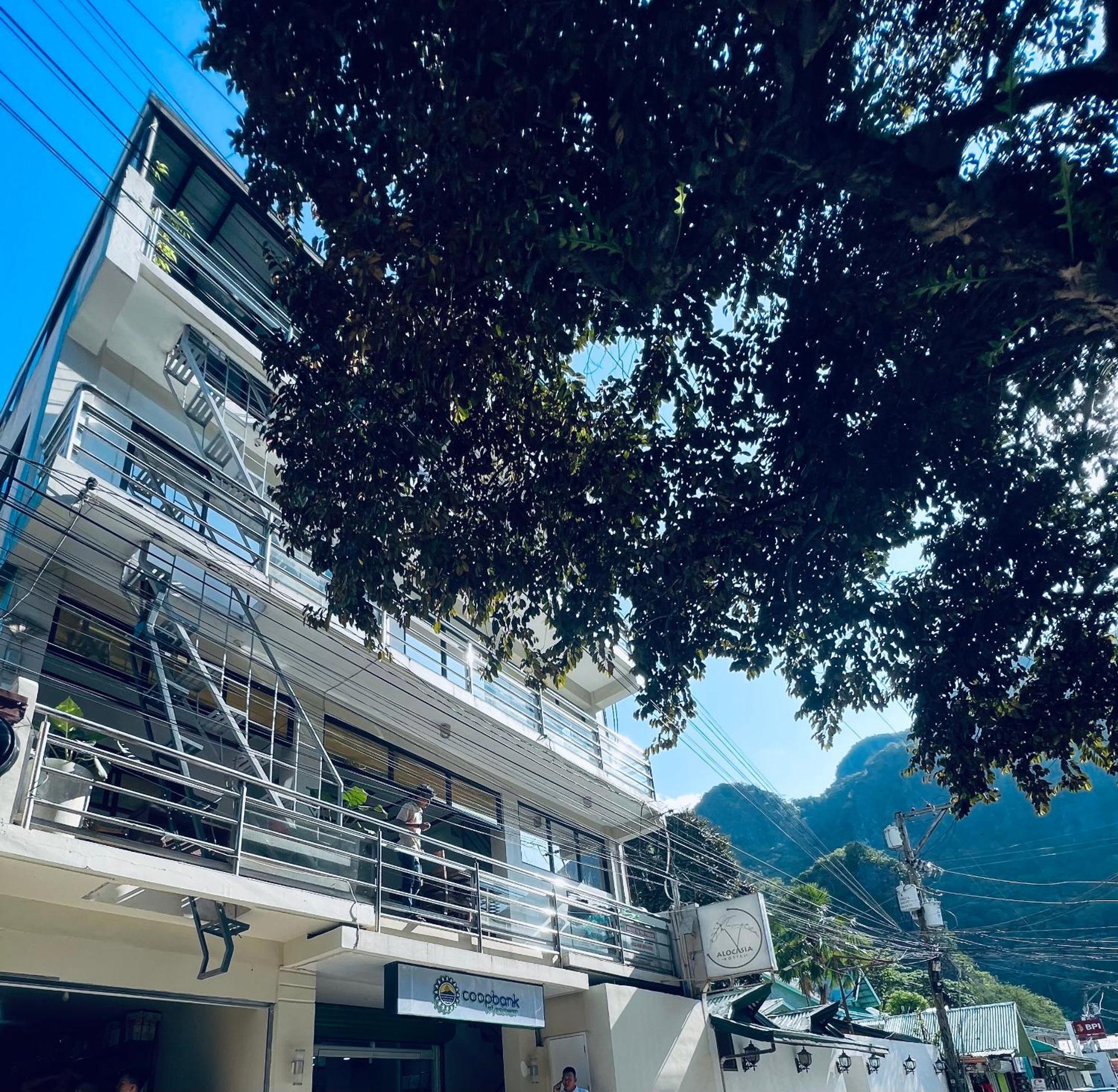 Alocasia El Nido Dış mekan fotoğraf